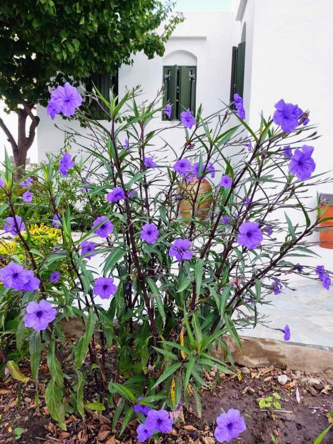 Ancient Meropia - Les Jardins Des Muses Apollonía Dış mekan fotoğraf