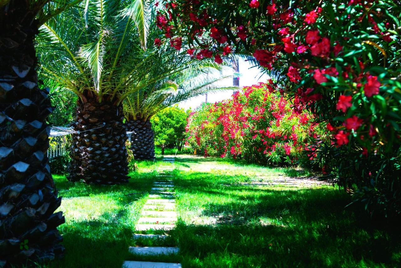 Ancient Meropia - Les Jardins Des Muses Apollonía Dış mekan fotoğraf